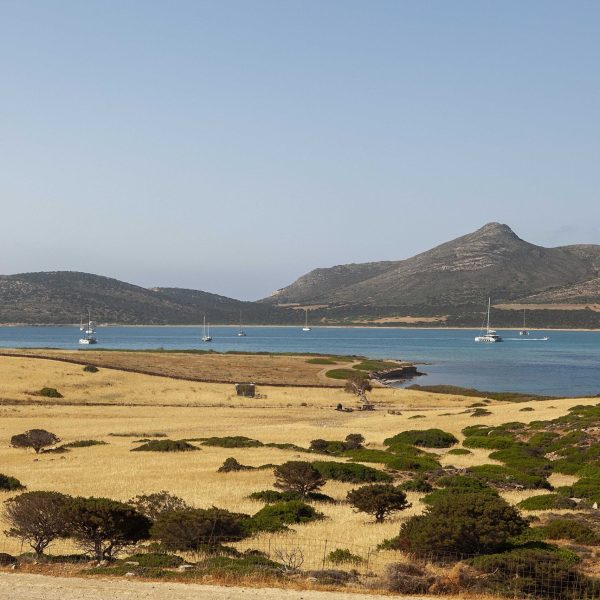 Antiparos Villa Petra (73)