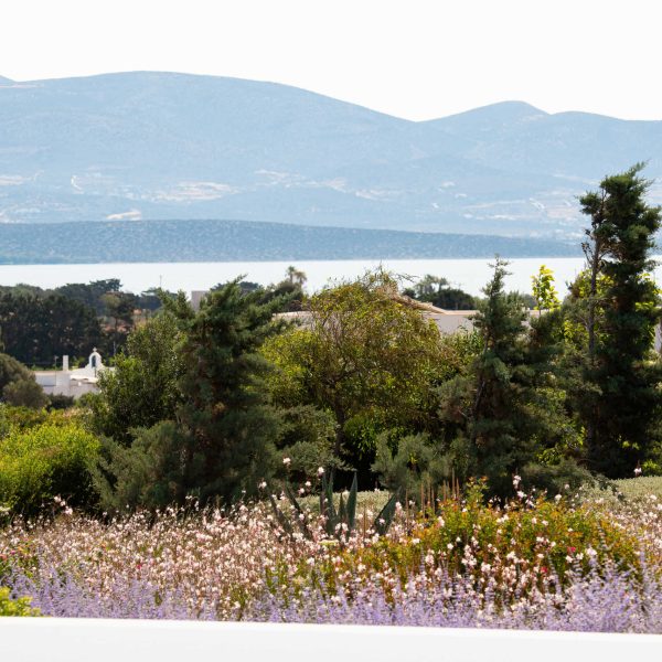 Villa in Antiparos FYSI (85)