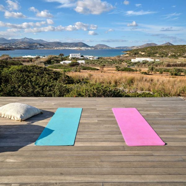 Villa in Paros Ilios (53)